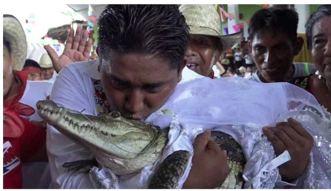 മുതലയെ വിവാഹം ചെയ്ത് മേയർ